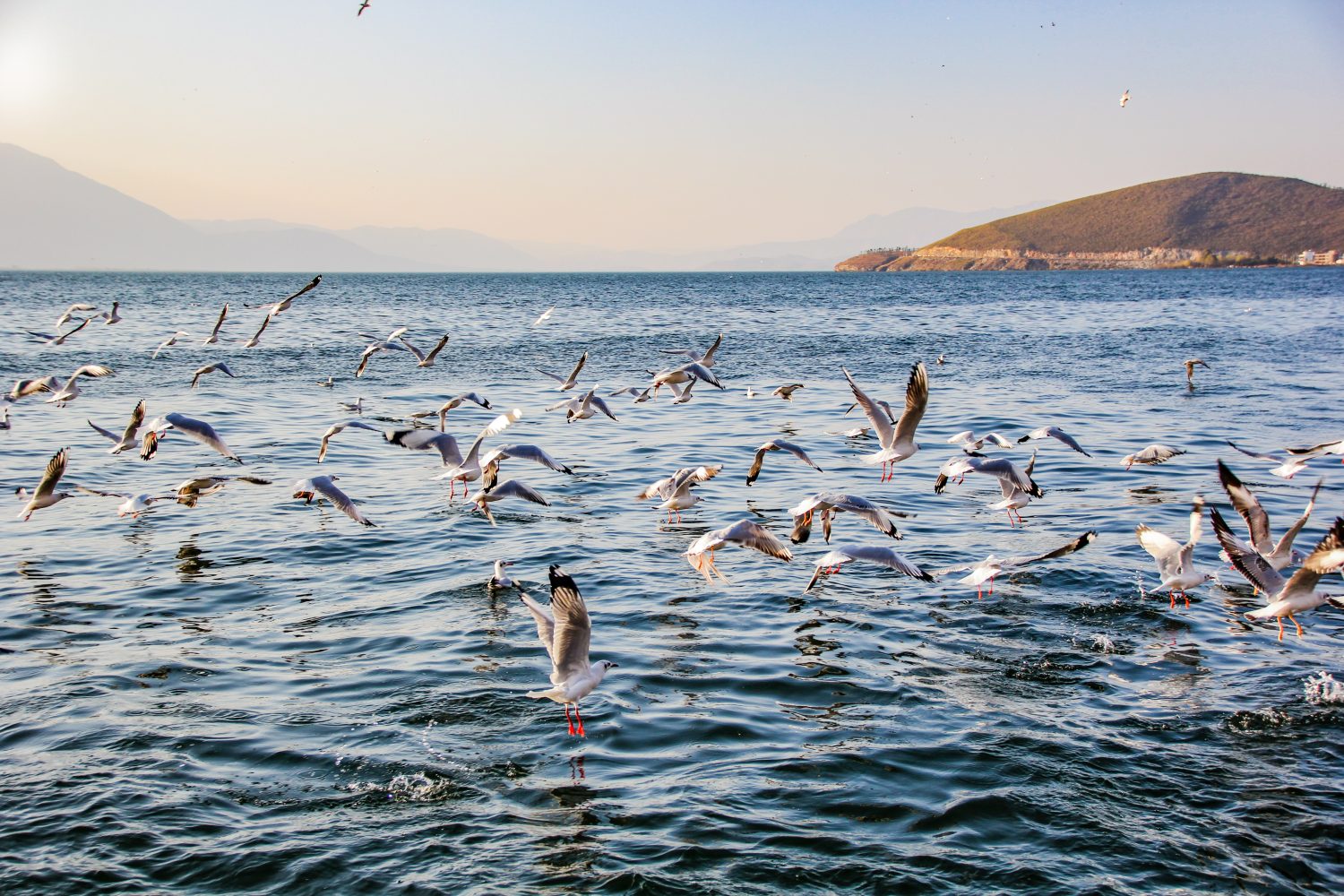 Yunnan travel scenery