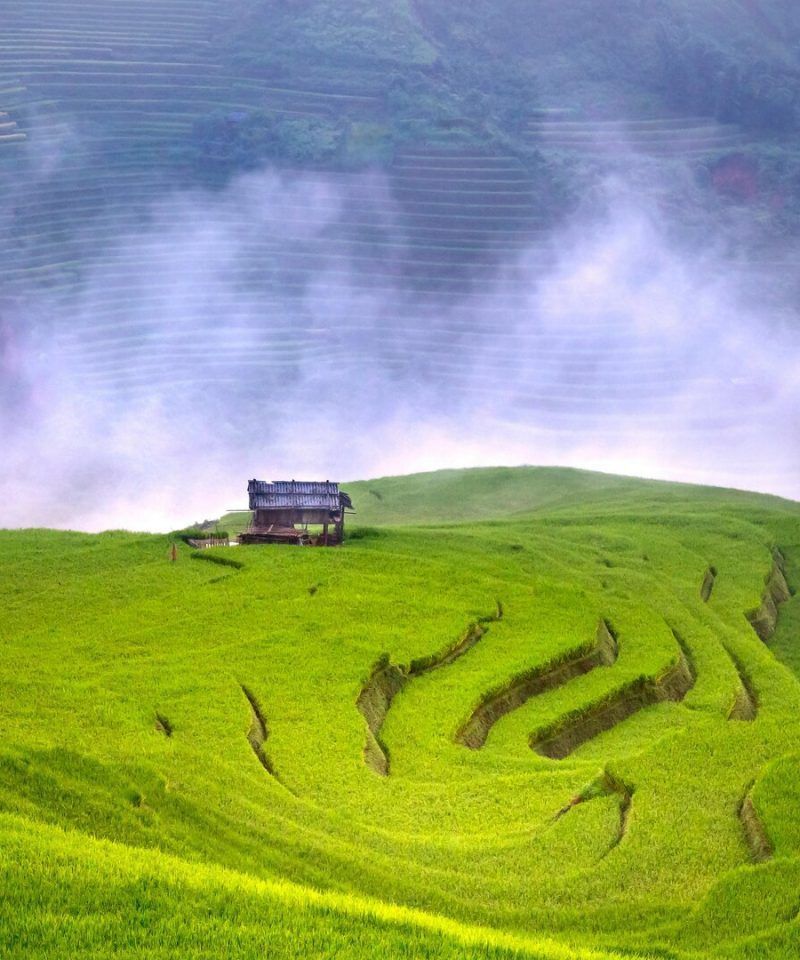 Yuanyang Rice Terraces in Yunnan China - UNESCO heritage terraced rice paddies