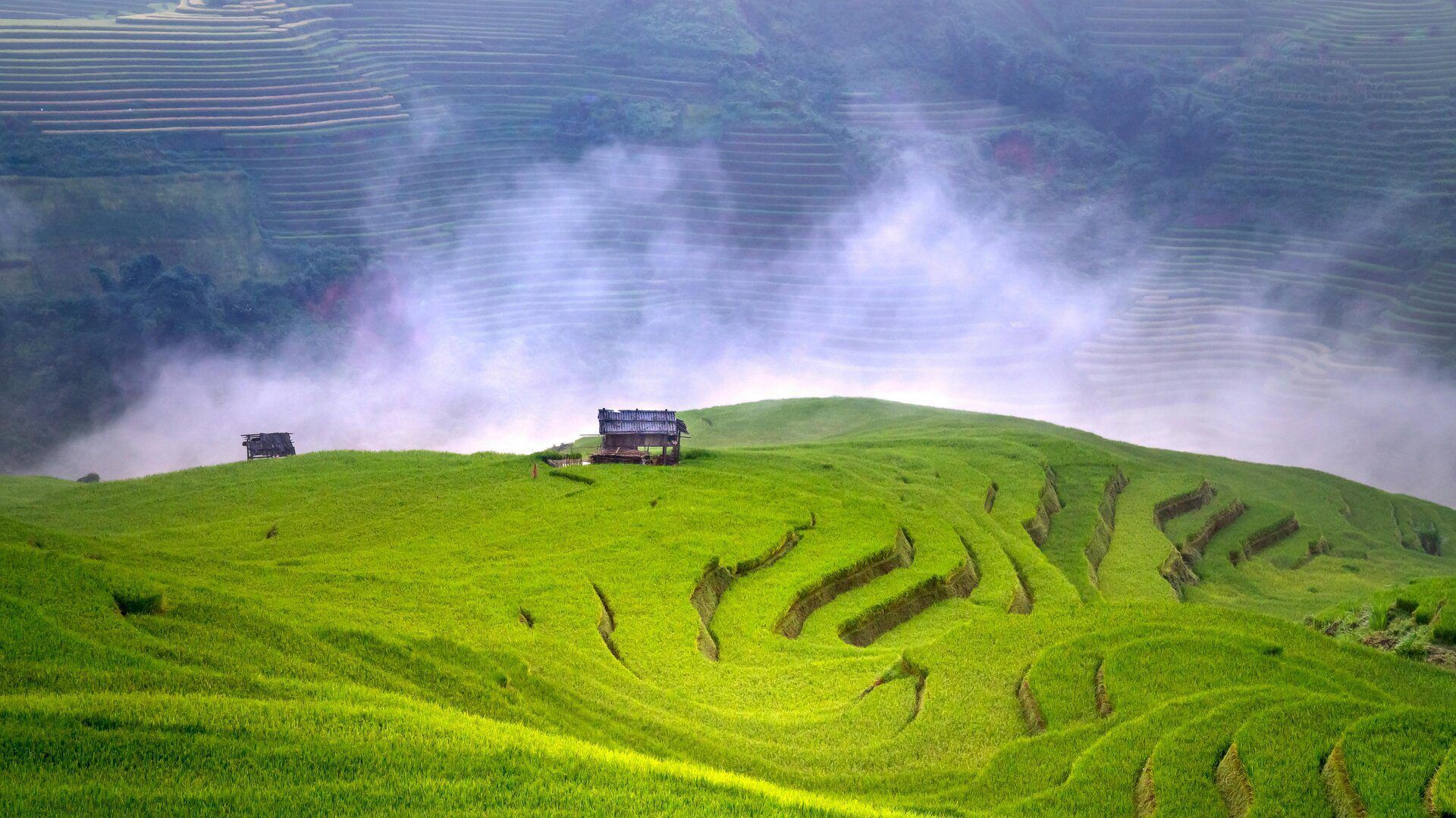 Yuanyang Rice Terraces in Yunnan China - UNESCO heritage terraced rice paddies